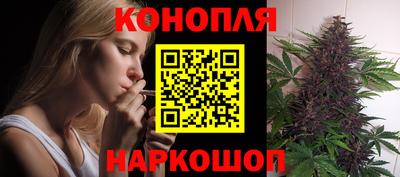 хмурый Новозыбков