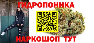 хмурый Новозыбков