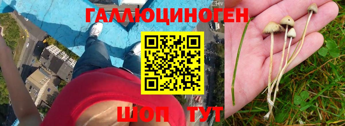 A PVP Томск